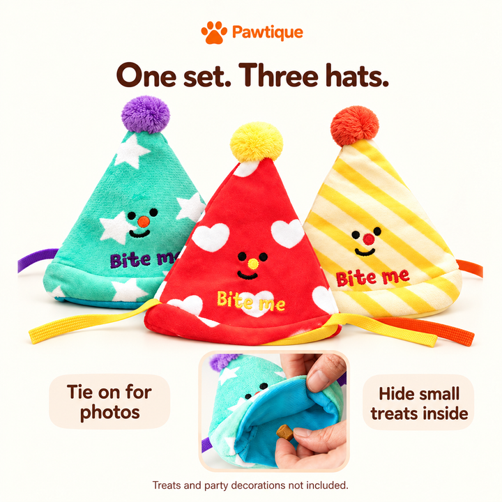 Three party hats with ties for supervised photos and an inner opening for hiding small treats; treats and decorations not included