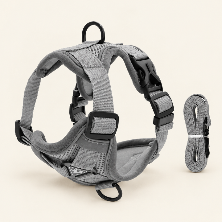 PawSecure gray mesh harness and matching leash with black buckles and reflective trim