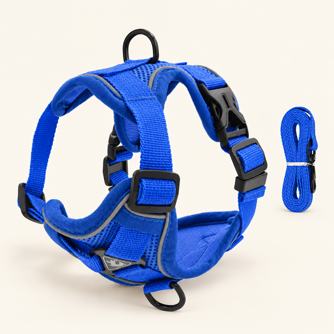 PawSecure blue mesh harness and matching leash set on a cream background