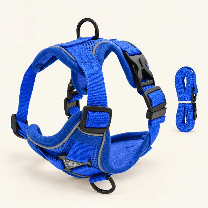 PawSecure blue mesh harness and matching leash set on a cream background