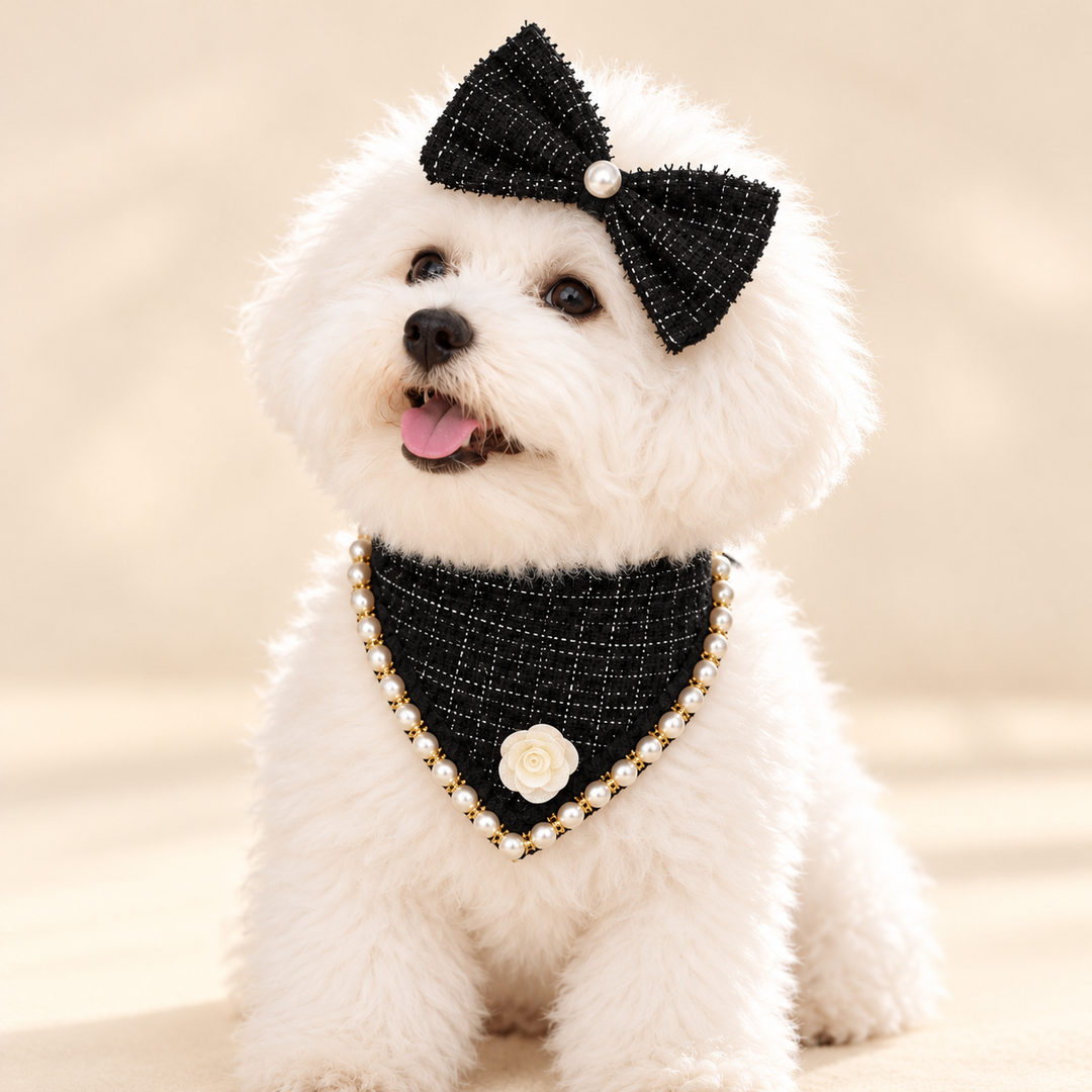 Black pearl-trim triangle scarf and matching head bow worn by a white dog; attached pearl-look edging and ivory flower