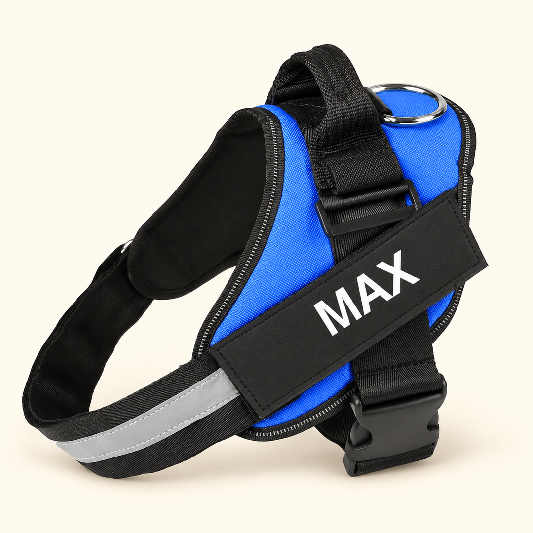 Pawtique personalized dog harness blue color with example name-only patch