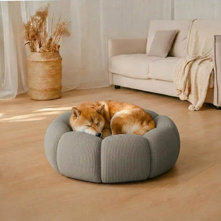 Pawtique PetalNest™ Round Corduroy Pet Bed - Pawtique