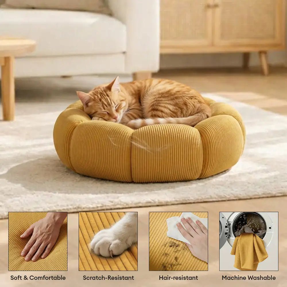 Pawtique PetalNest™ Round Corduroy Pet Bed - Pawtique