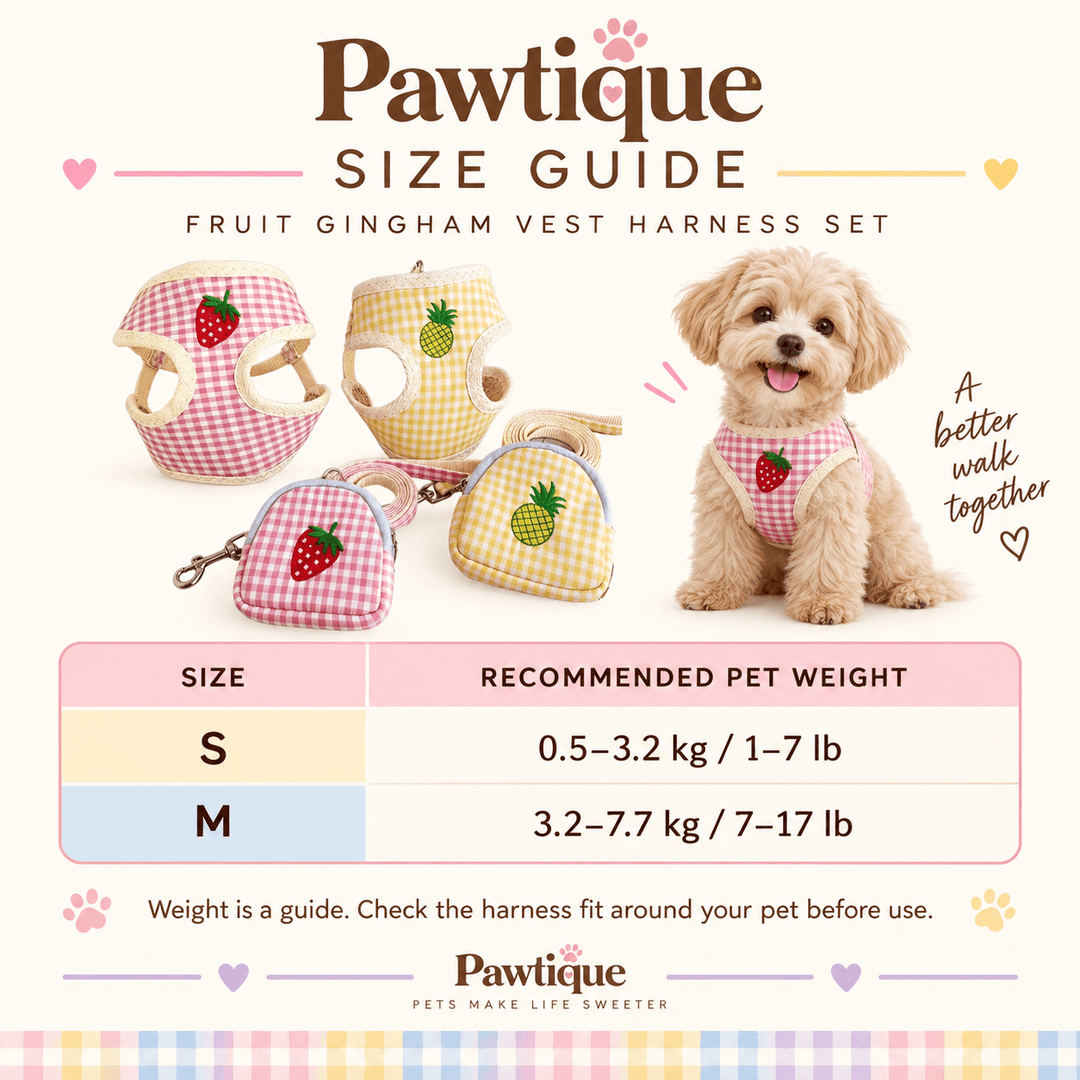 Pawtique PicnicPatch™ Fruit Gingham Harness, Leash &amp; Pouch Set - Pawtique