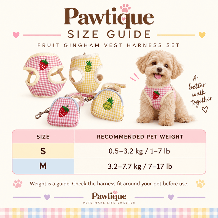 Pawtique PicnicPatch™ Fruit Gingham Harness, Leash &amp; Pouch Set - Pawtique