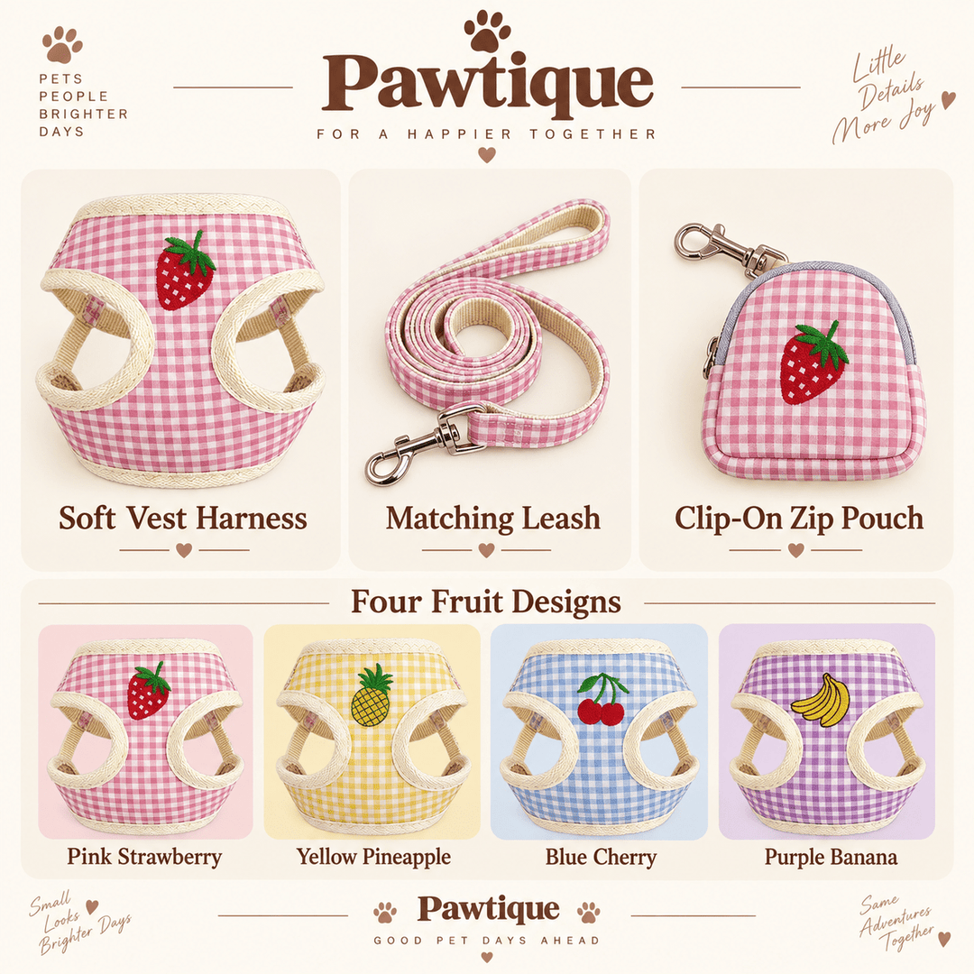 Pawtique PicnicPatch™ Fruit Gingham Harness, Leash &amp; Pouch Set - Pawtique