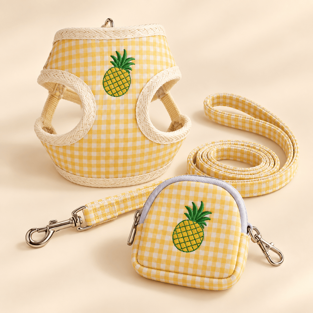 Pawtique PicnicPatch™ Fruit Gingham Harness, Leash &amp; Pouch Set - Pawtique