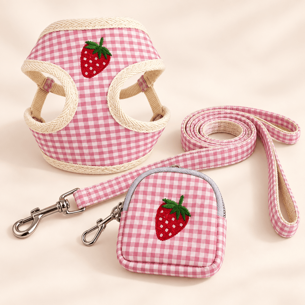 Pawtique PicnicPatch™ Fruit Gingham Harness, Leash & Pouch Set - Pawtique