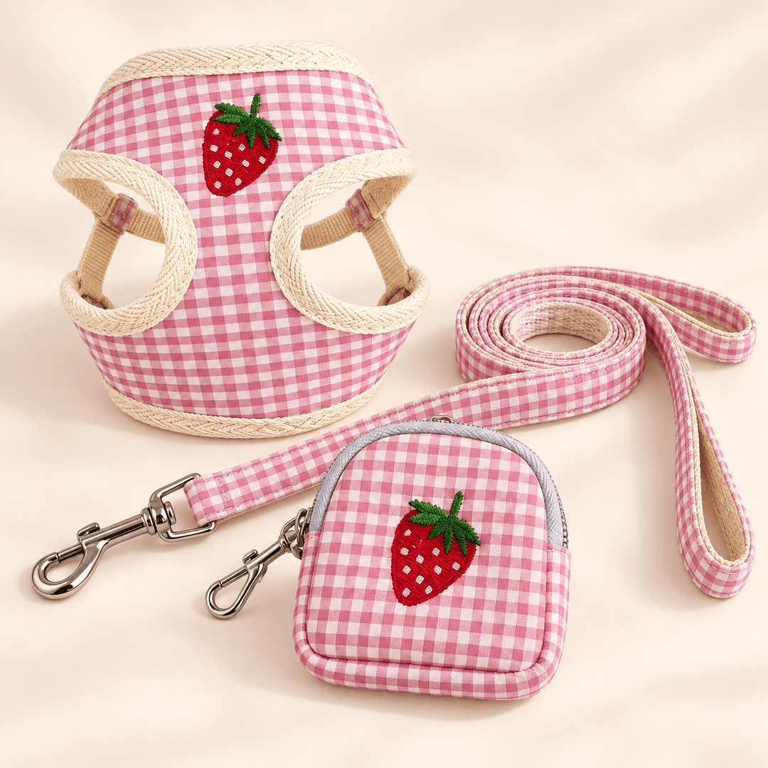 Pawtique PicnicPatch™ Fruit Gingham Harness, Leash & Pouch Set - Pawtique