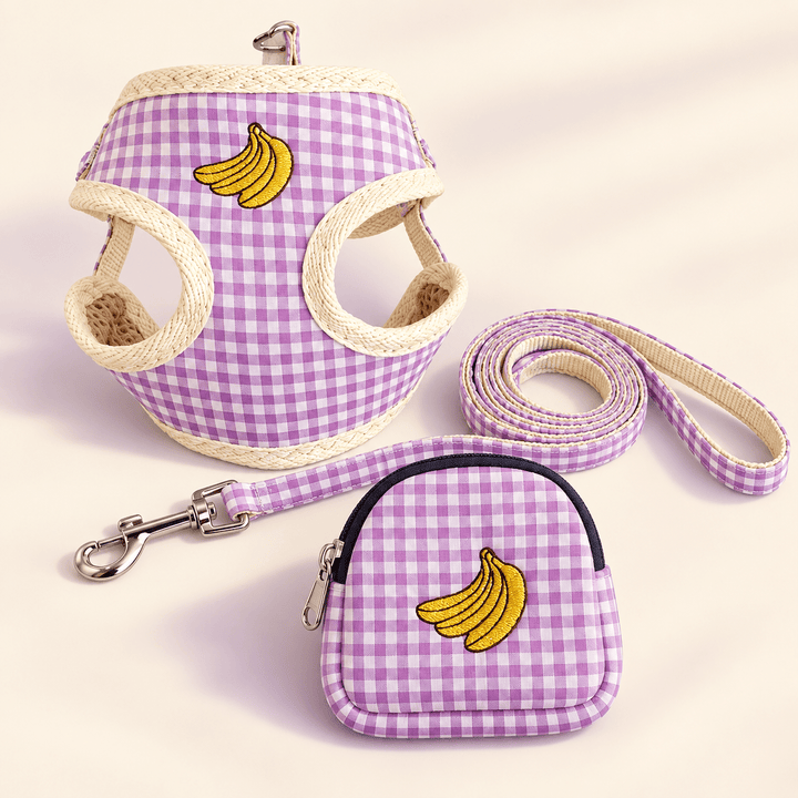 Pawtique PicnicPatch™ Fruit Gingham Harness, Leash &amp; Pouch Set - Pawtique