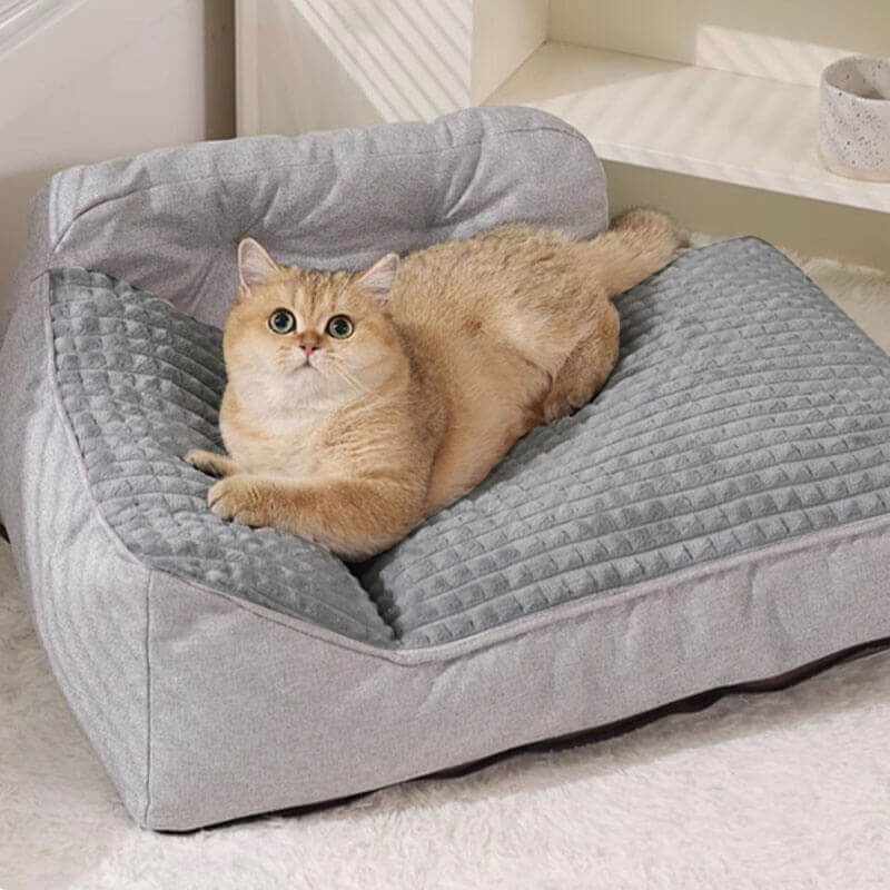 Pawtique PillowLounge™ Washable Bolster Pet Bed - Pawtique