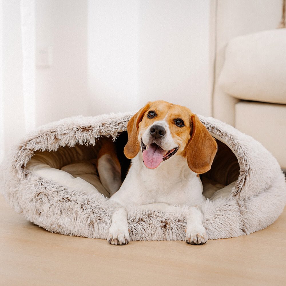 Pawtique PitaNest™ Semi-Enclosed Plush Pet Bed - Pawtique