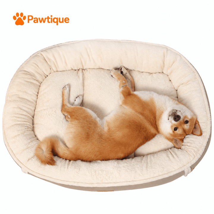 Overhead view of a dog stretched across the cream center of the Tan Plush Bolster bed