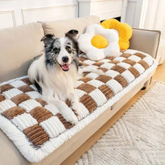 Pawtique™ Plush Comfort Pad