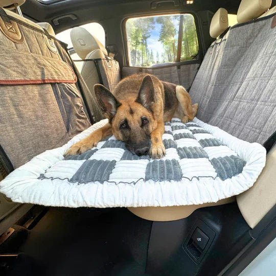 Pawtique™ Plush Comfort Pad - Pawtique