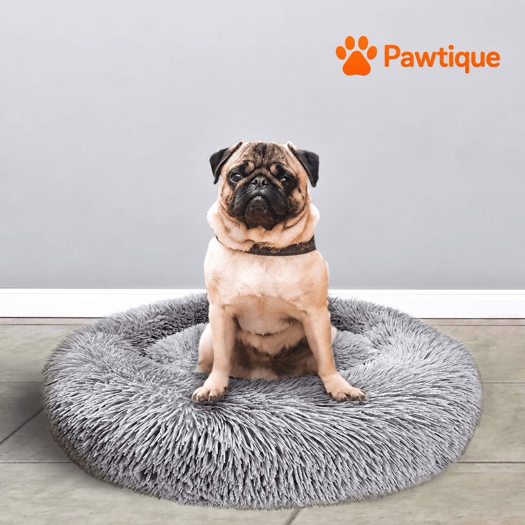Dog sitting on a Grey Plush Donut Cuddler, showing the plush resting surface.