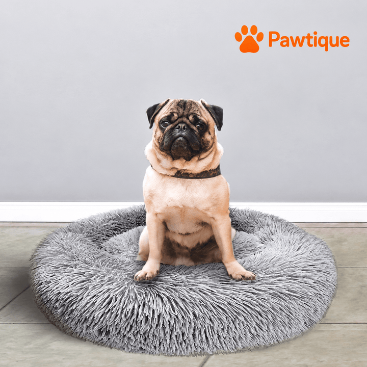 Dog sitting on a Grey Plush Donut Cuddler, showing the plush resting surface.