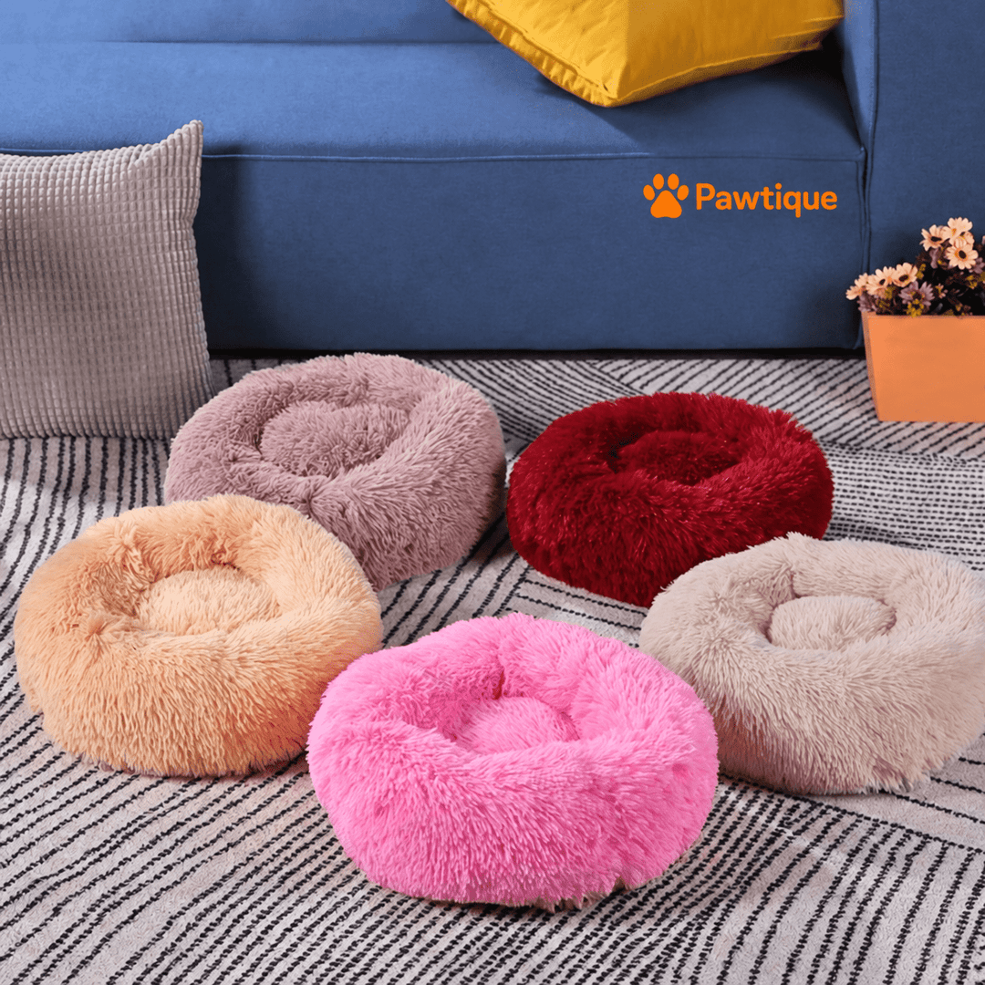 Several Plush Donut Cuddler beds in different colors displayed beside a blue sofa; each bed is sold separately.