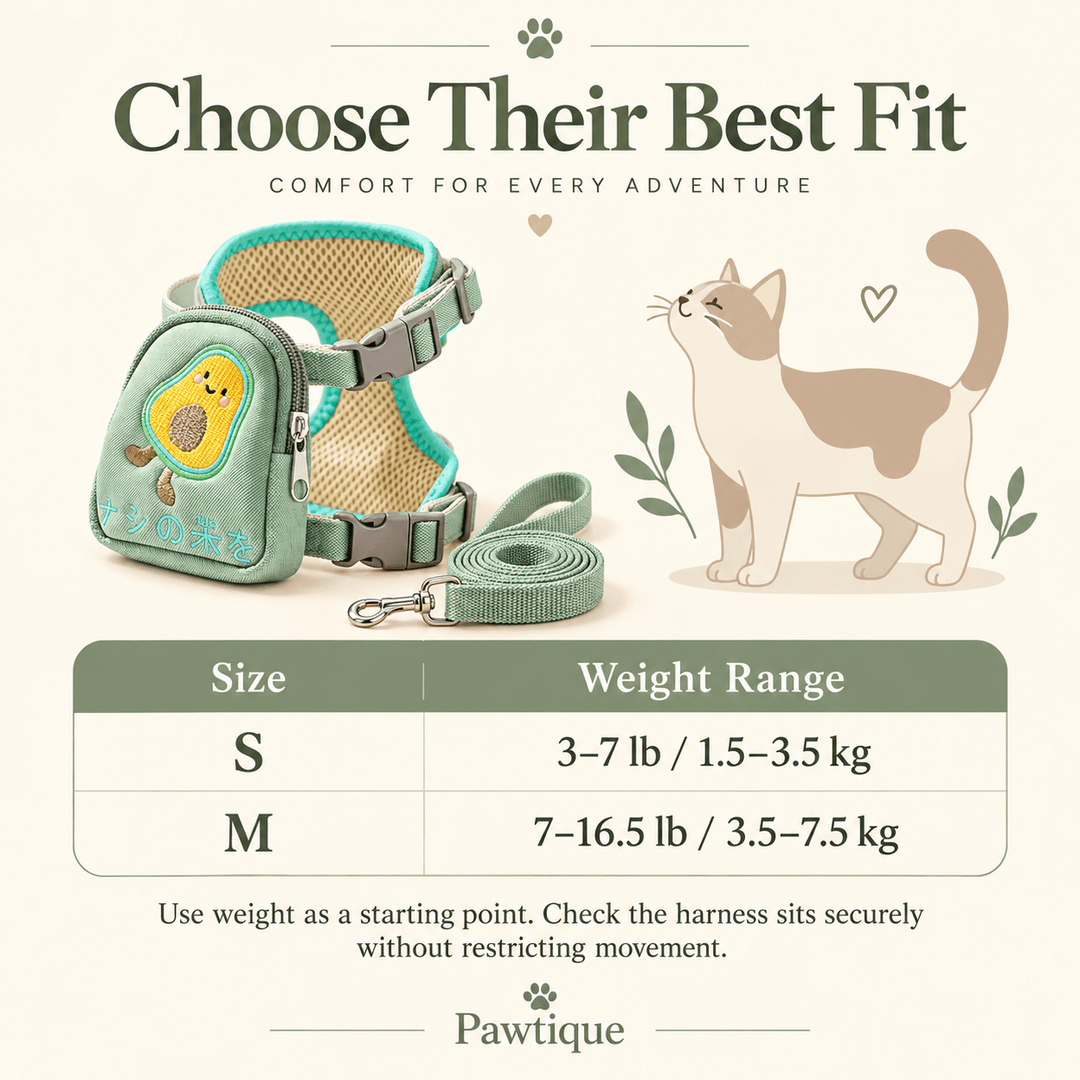 Pawtique PocketPals™ Mesh Cat Harness &amp; Leash Set - Pawtique