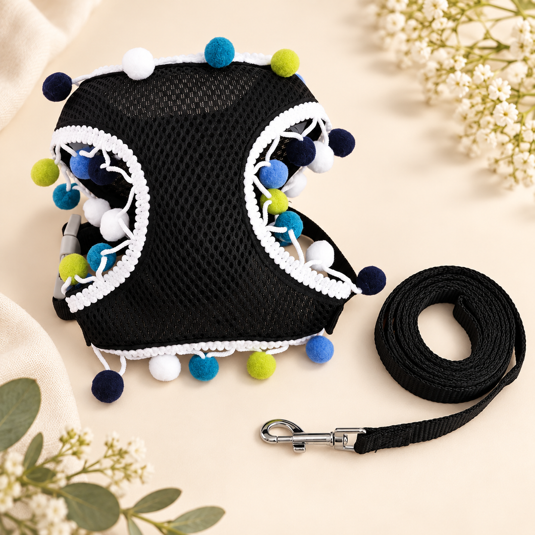 Pawtique PomPom AirMesh harness and leash set in black