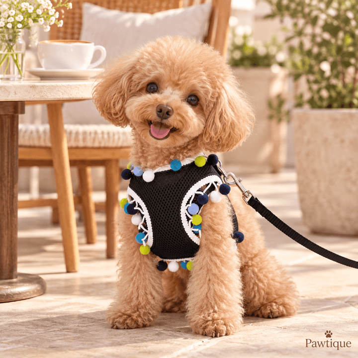 Pawtique PomPom AirMesh™ Harness &amp; Leash Set - Pawtique