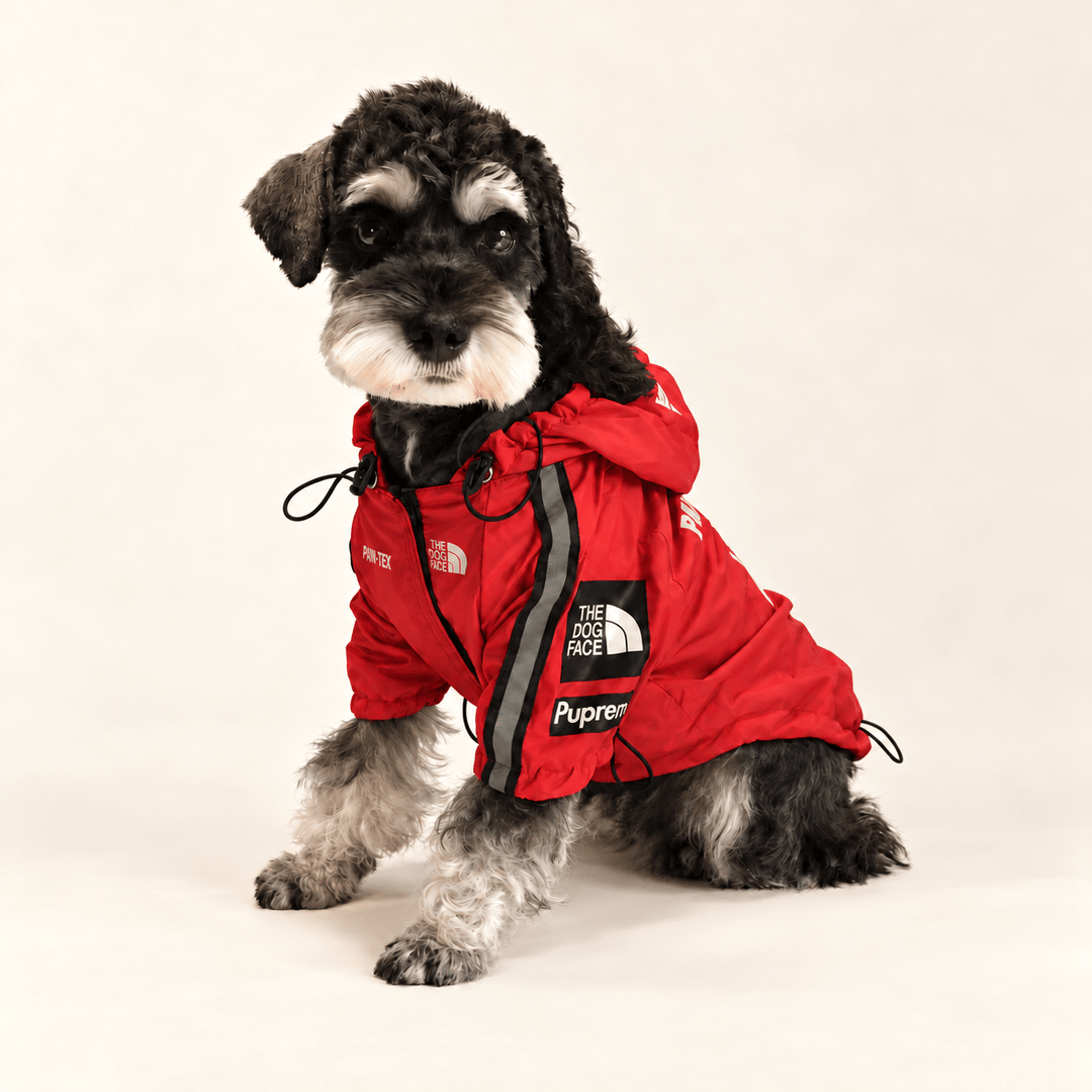 Pawtique Printed Hooded Dog Jacket - Pawtique