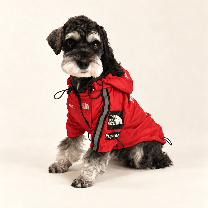 Pawtique Printed Hooded Dog Jacket - Pawtique