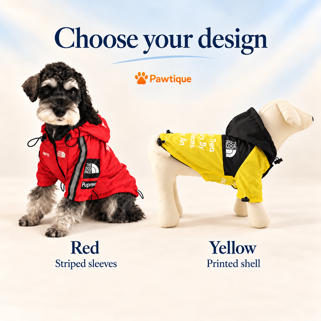 Red and Yellow jacket designs compared; panel layouts and sleeve details differ
