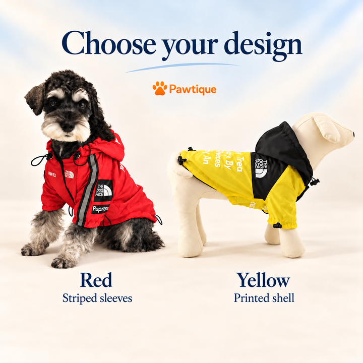 Red and Yellow jacket designs compared; panel layouts and sleeve details differ