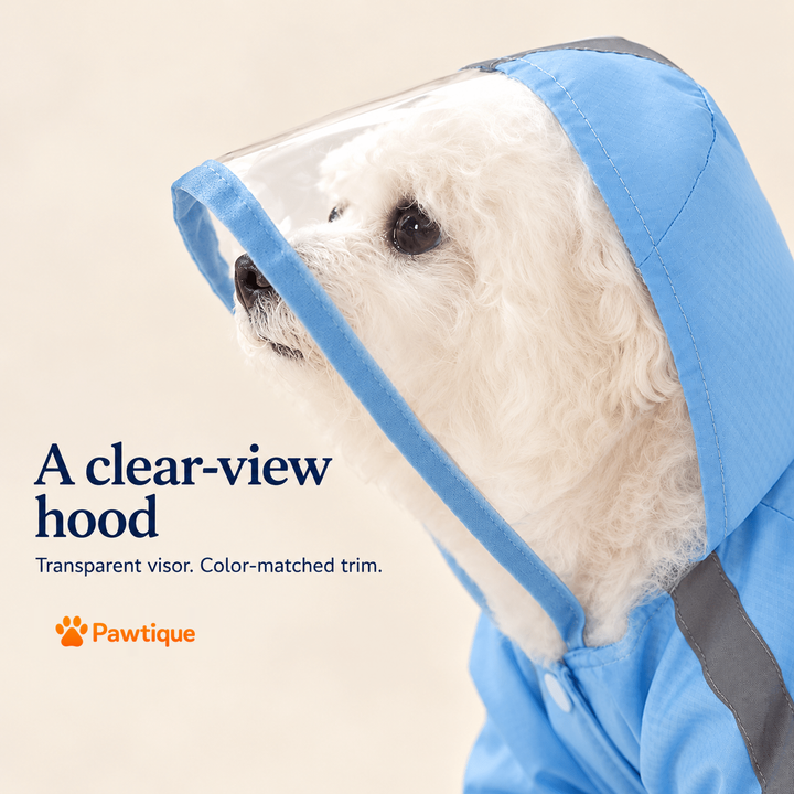 Transparent visor and color-matched hood trim