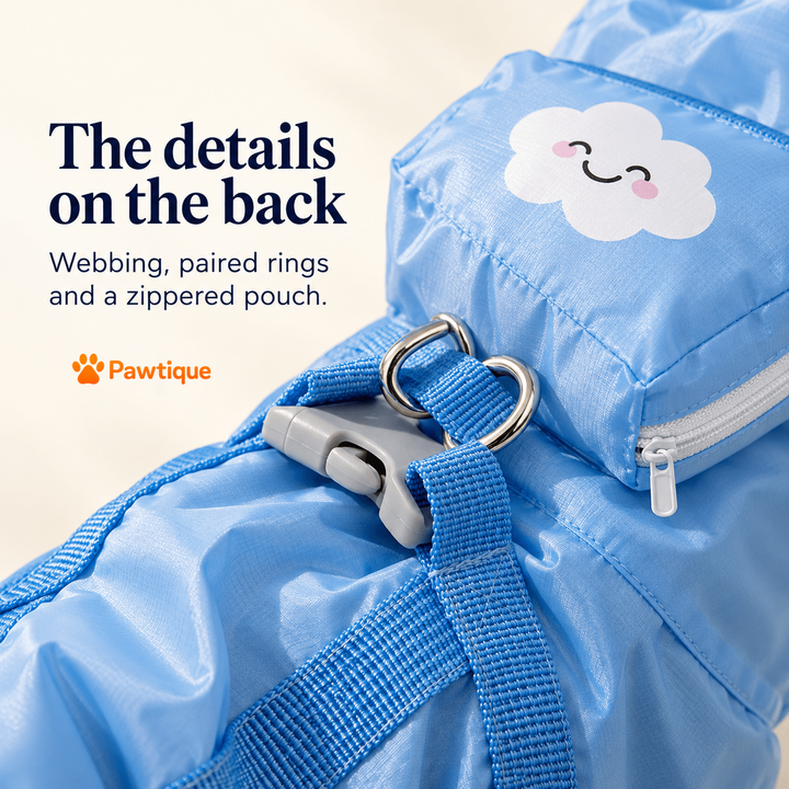Back webbing, paired rings and attached zippered cloud pouch