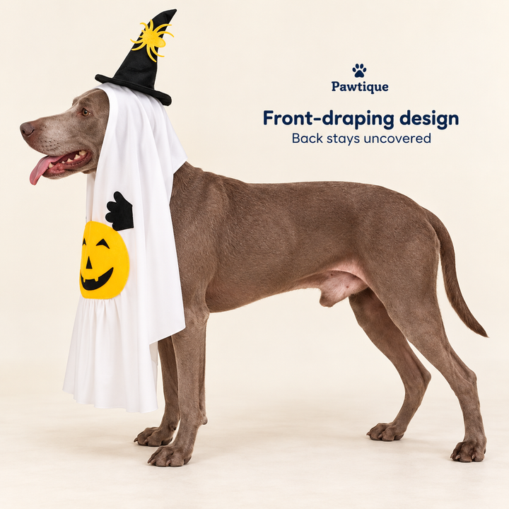 Side view of the front-draping Pumpkin Ghost costume showing the dog&