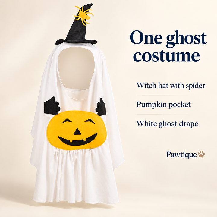 One Pumpkin Ghost costume with witch hat and yellow spider, pumpkin pocket and white ghost drape