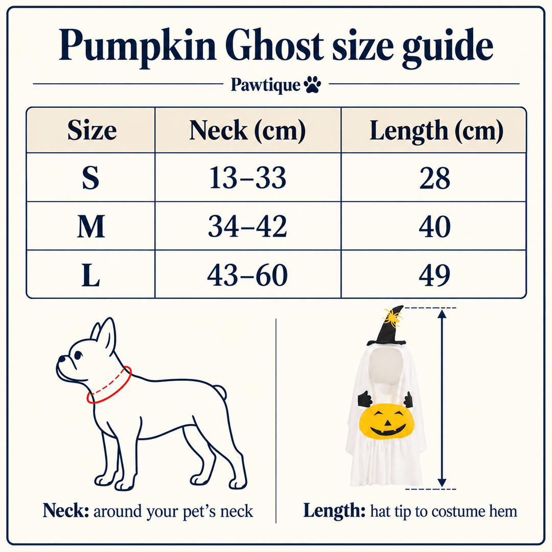 Pawtique Pumpkin Ghost Pet Costume - Pawtique