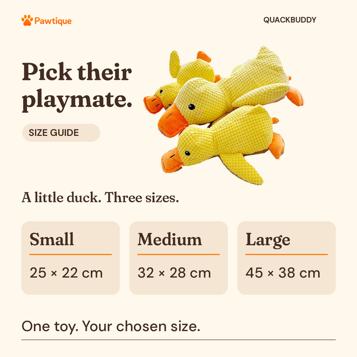 QuackBuddy size guide: Small 25 by 22 cm, Medium 32 by 28 cm, Large 45 by 38 cm; one toy per chosen size
