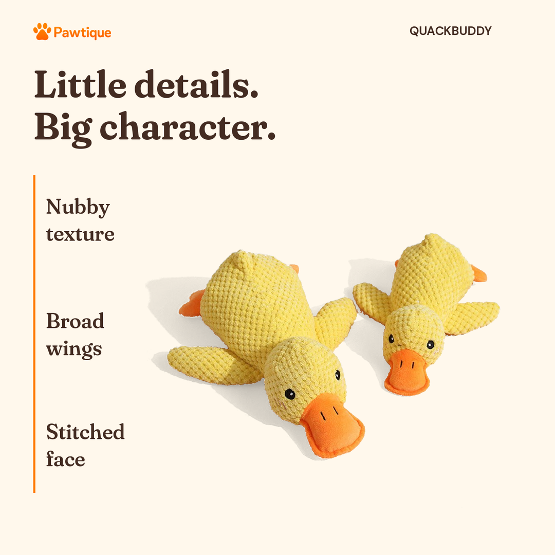 QuackBuddy plush duck details: nubby texture, broad wings and stitched face; original product photography