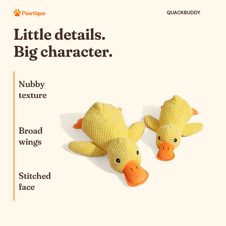 QuackBuddy plush duck details: nubby texture, broad wings and stitched face; original product photography