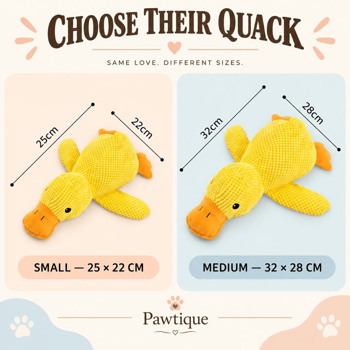 Pawtique QuackCrinkle™ Catnip Duck Cat Toy - Pawtique