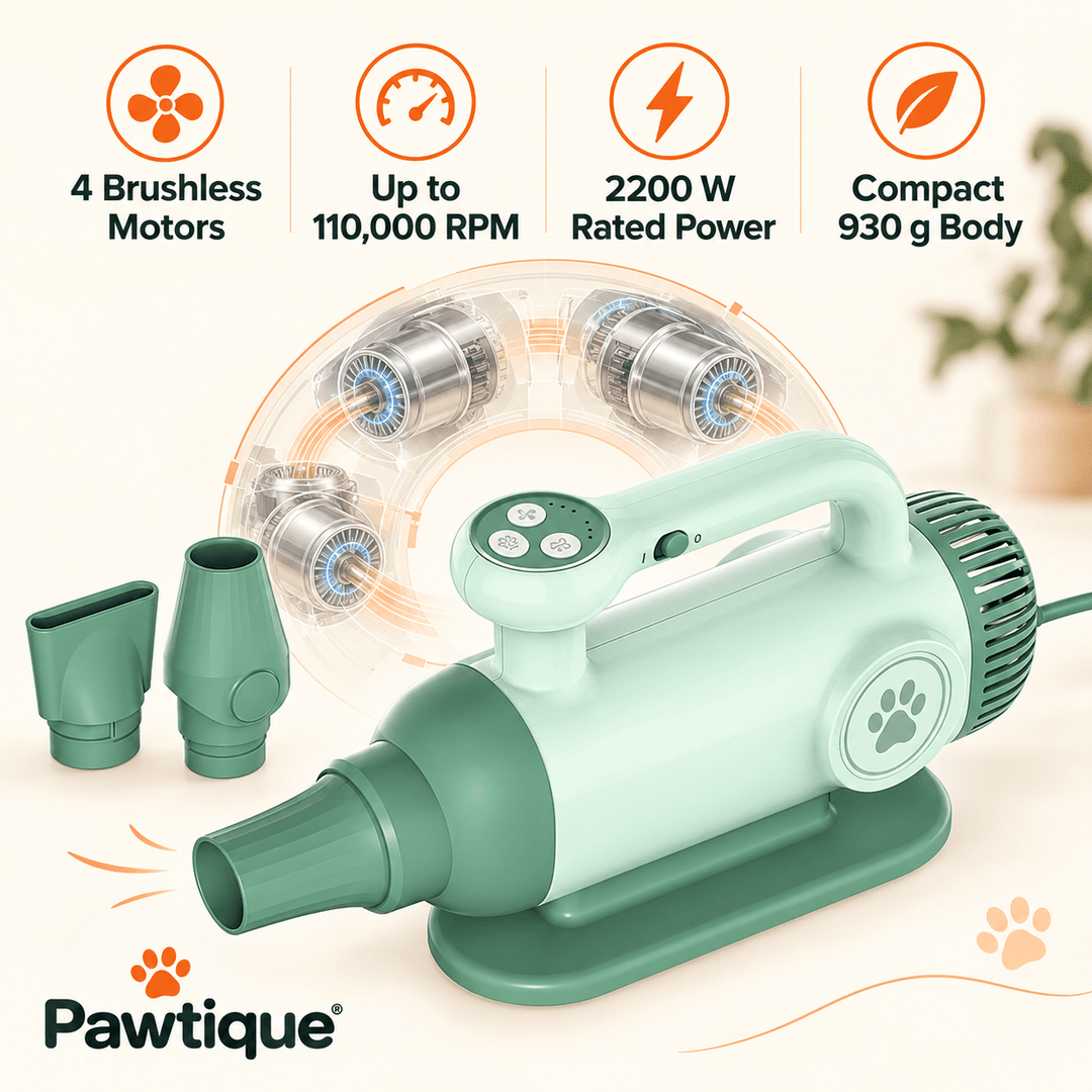 Pawtique QuietFlow™ 220V High-Velocity Pet Dryer - Pawtique