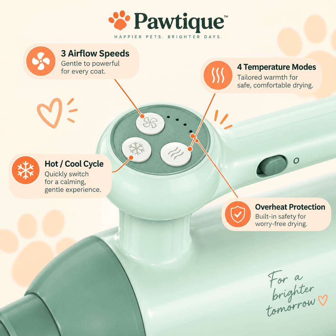 Pawtique QuietFlow™ 220V High-Velocity Pet Dryer - Pawtique