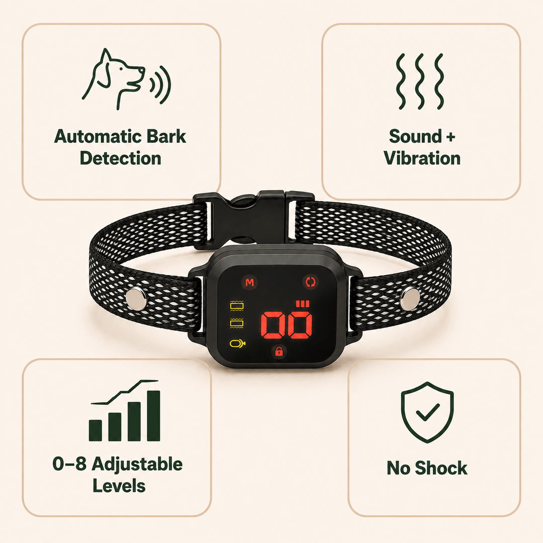 Pawtique QuietSignal™ No-Shock Bark Collar - Pawtique