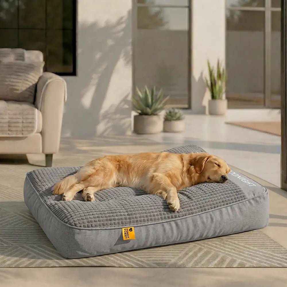 Pawtique RestNest™ Thick Bolster Dog Bed - Pawtique