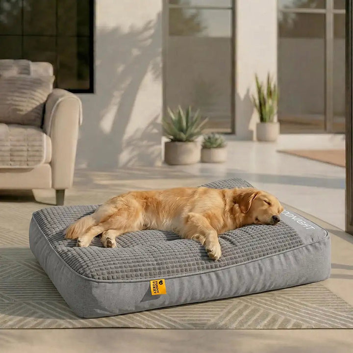 Pawtique RestNest™ Thick Bolster Dog Bed - Pawtique