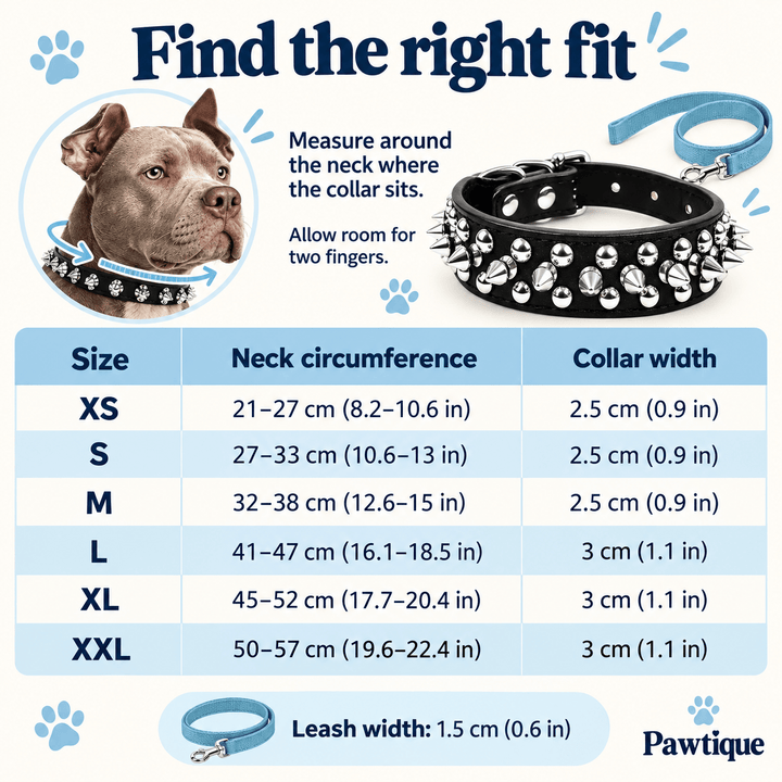 Pawtique RivetEdge™ Spiked Dog Collar &amp; Leash Set - Pawtique