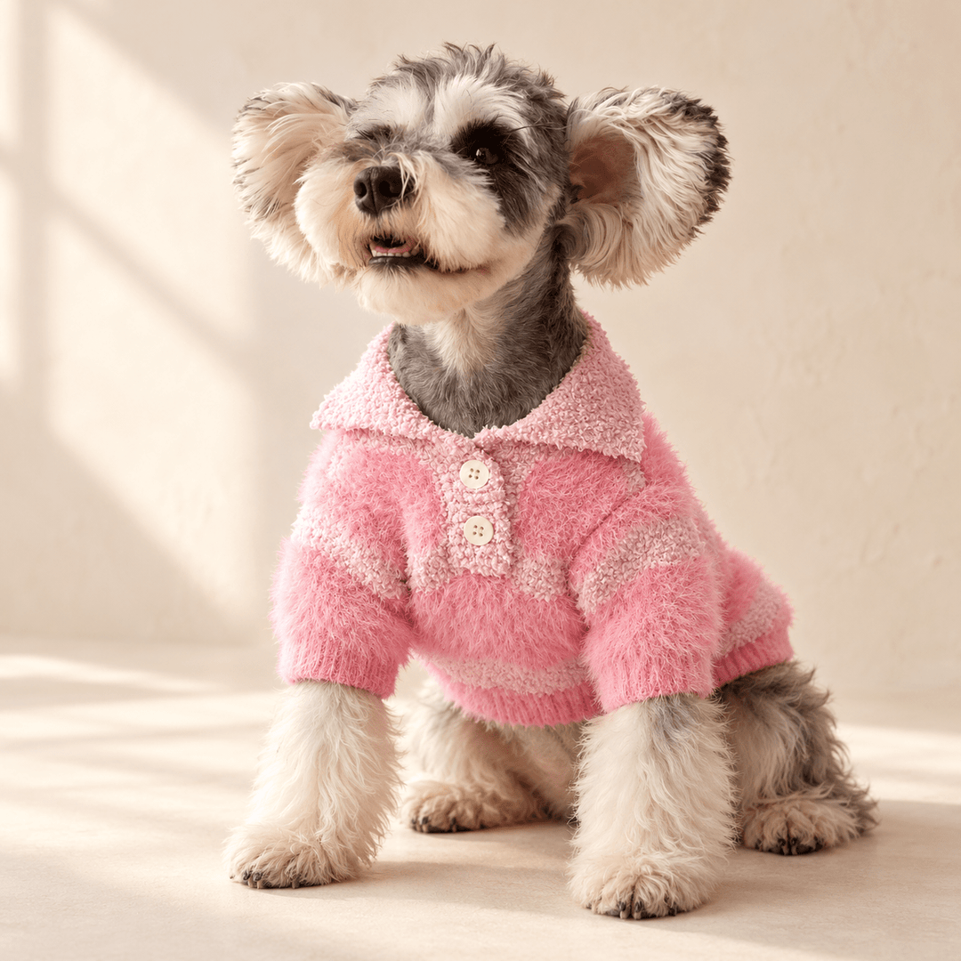 Pawtique RoseStripe Collared Dog Sweater - Pawtique