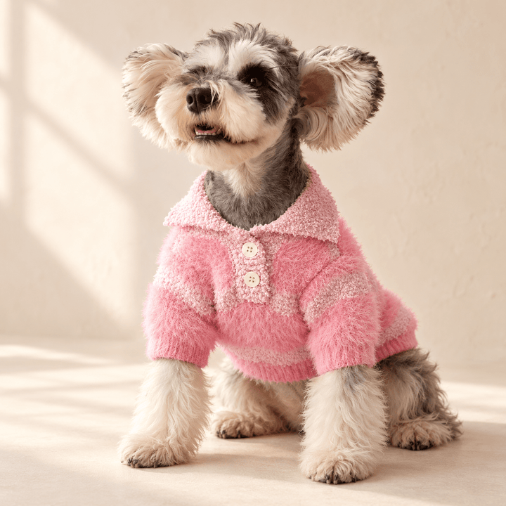 Pawtique RoseStripe Collared Dog Sweater - Pawtique