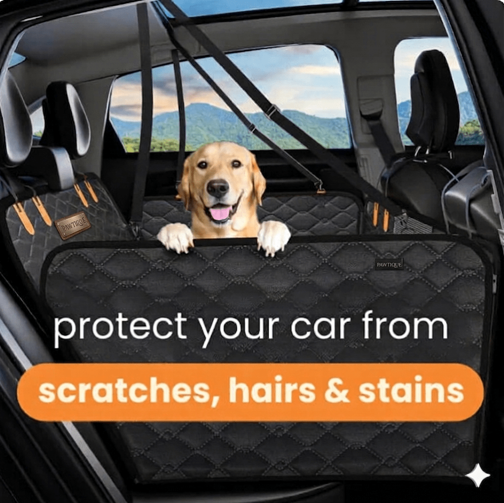 Pawtique SafeRide™ Hard Bottom Dog Car Seat Cover - Pawtique