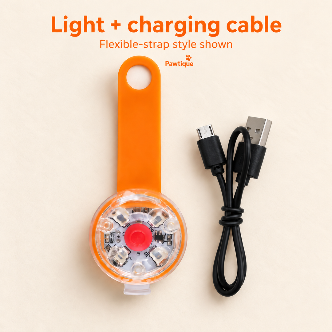 Orange flexible-strap collar light and matching USB charging cable