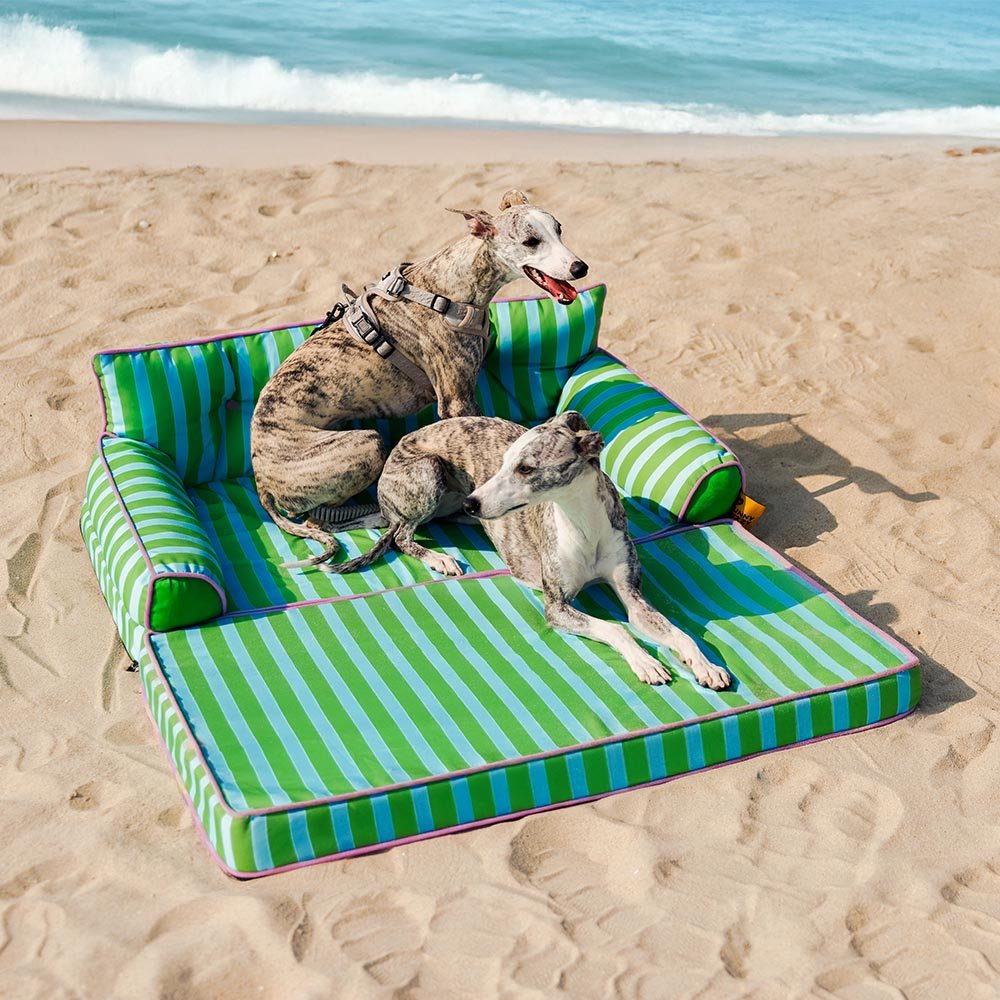 Pawtique SiestaStripe™ Convertible Dog Sofa Bed - Pawtique